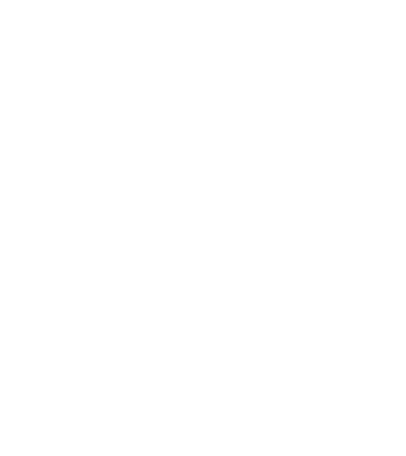 Verdict Icon